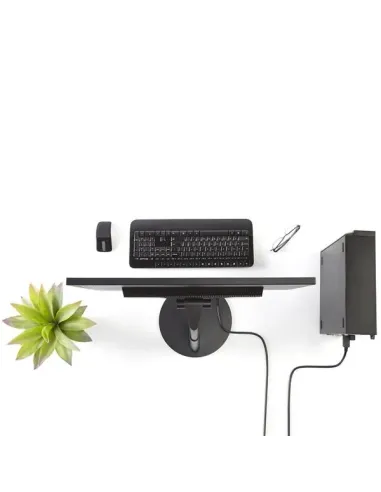 StarTech.com Cable 1,8m Adaptador de Vídeo DisplayPort a DVI - Conversor DP - Hasta 1920x1200 - Pasivo