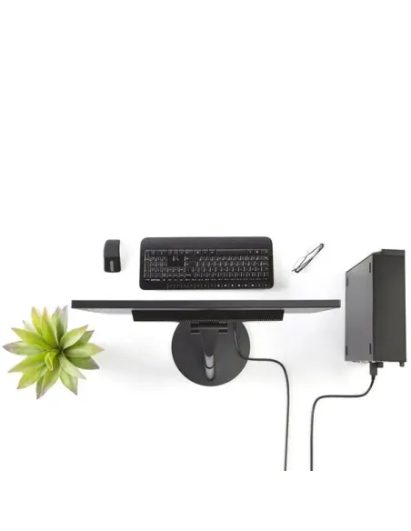 StarTech.com Cable 1,8m Adaptador de Vídeo DisplayPort a DVI - Conversor DP - Hasta 1920x1200 - Pasivo