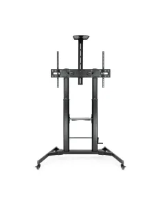 TooQ ZEUS 2,54 m (100") Negro 2
