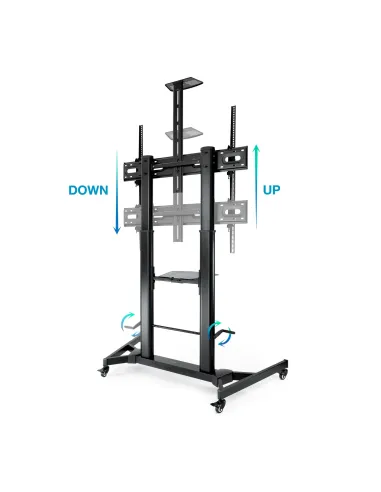 TooQ ZEUS 2,54 m (100") Negro