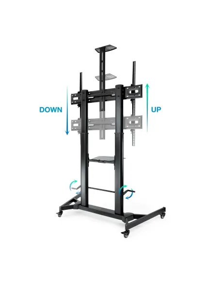 TooQ ZEUS 2,54 m (100") Negro