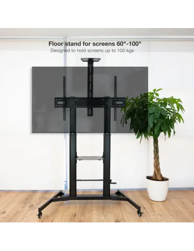 TooQ ZEUS 2,54 m (100") Negro