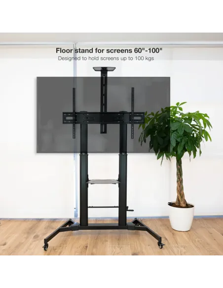 TooQ ZEUS 2,54 m (100") Negro
