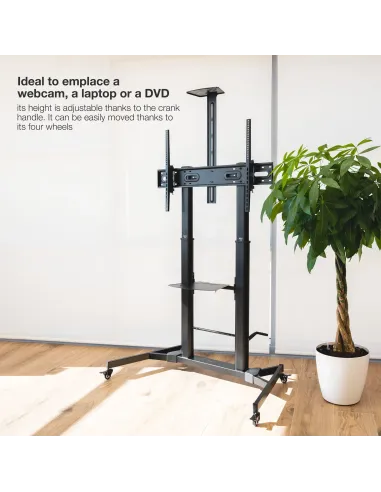 TooQ ZEUS 2,54 m (100") Negro