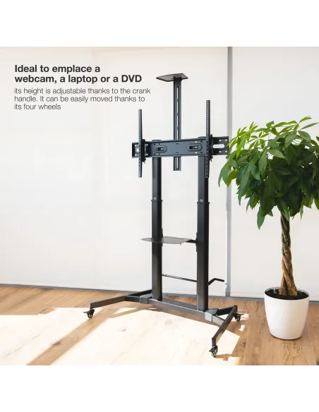 TooQ ZEUS 2,54 m (100") Negro