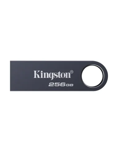 Kingston Technology DataTraveler 256 GB SE9 G3 - Níquel oscuro