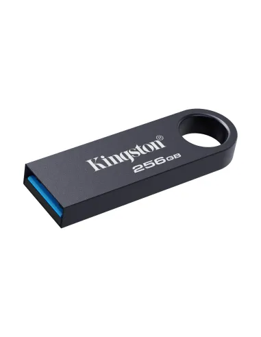 Kingston Technology DataTraveler 256 GB SE9 G3 - Níquel oscuro