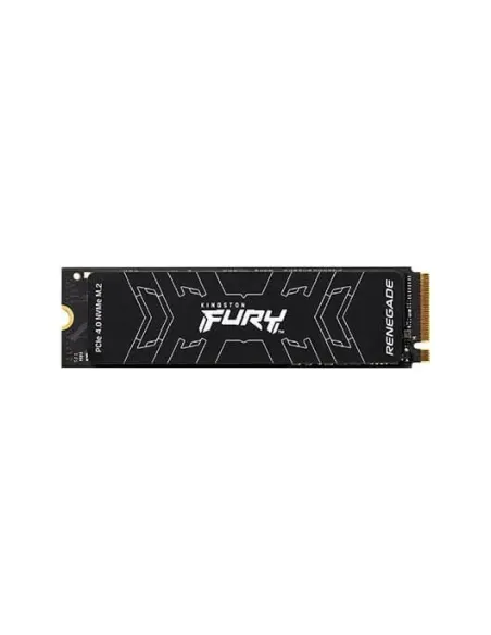 Kingston Technology FURY Renegade
