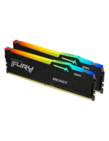 Kingston Technology FURY Beast RGB