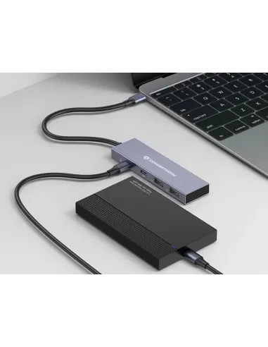 Conceptronic HUBBIES13G hub de interfaz USB 3.2 Gen 2 (3.1 Gen 2) Type-C 10000 Mbit s Gris