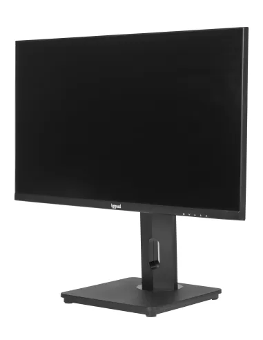 iggual Monitor 24" VGA HDMI 120Hz pivotante AA MM