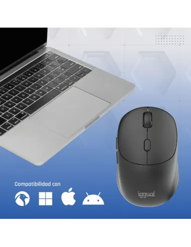 iggual Ratón inalámbrico NANO-OFFICE-6D 1600DPI