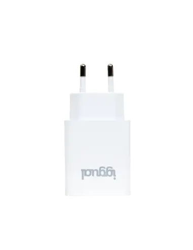 iggual Cargador de pared 1xUSB 5V 2.4A (12W)