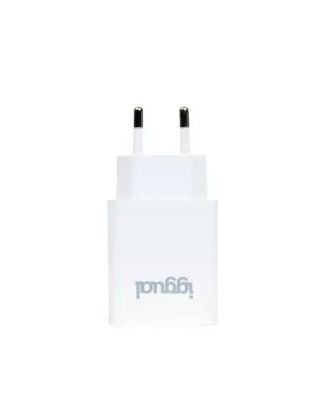 iggual Cargador de pared 1xUSB 5V 2.4A (12W)