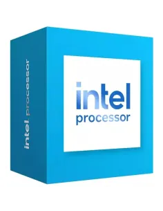 Intel 300