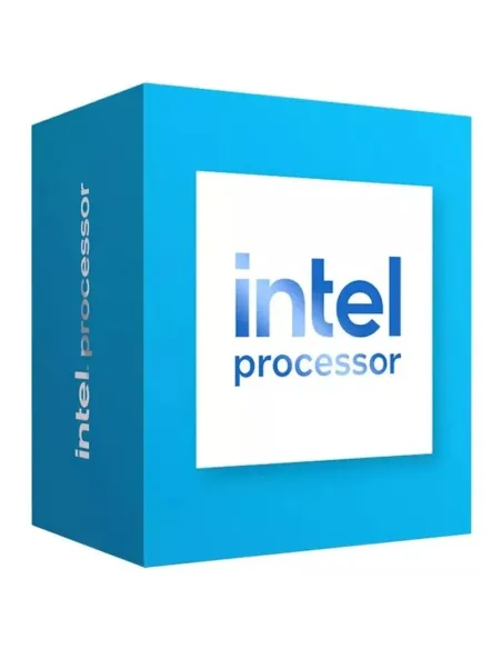Intel 300