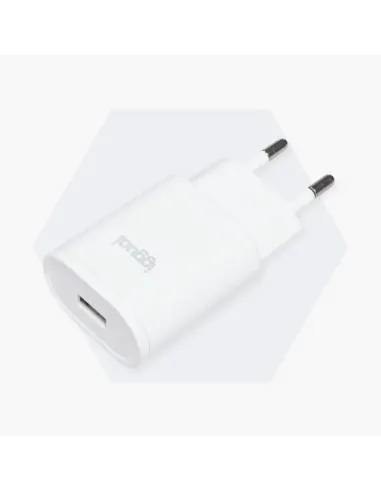 iggual Cargador de pared 1xUSB 5V 2A (10W)