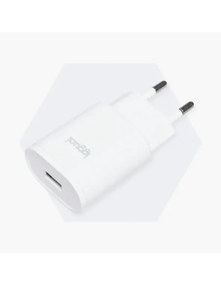 iggual Cargador de pared 1xUSB 5V 2A (10W)