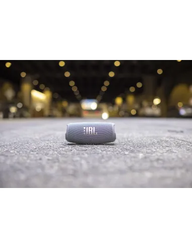 JBL CHARGE 5 Altavoz portátil estéreo Gris 30 W