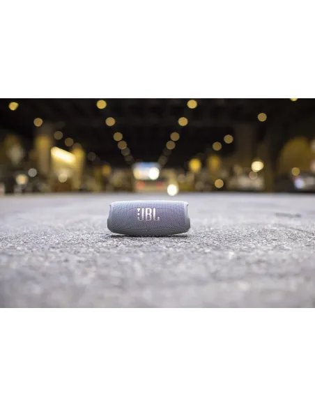 JBL CHARGE 5 Altavoz portátil estéreo Gris 30 W