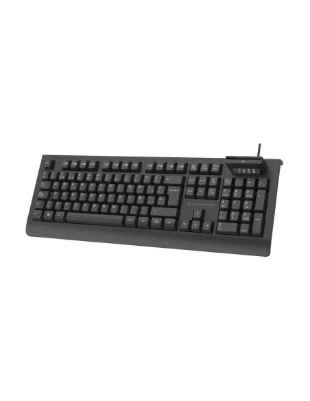 Conceptronic KAYNE01ES teclado Oficina USB QWERTY Español Negro