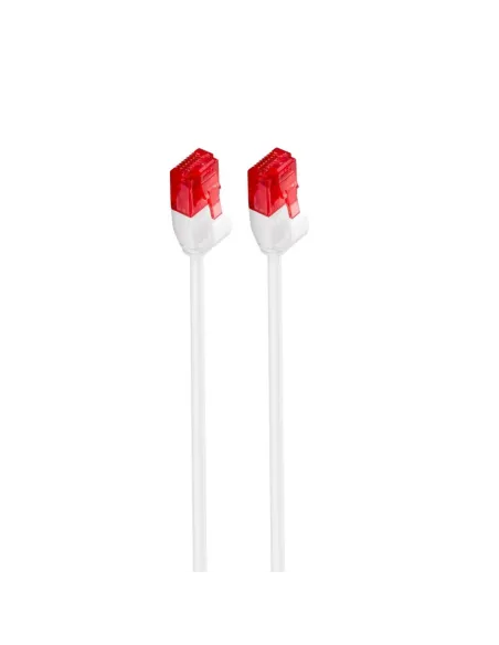 Ewent IM1041 cable de red Blanco 5 m Cat6 U UTP (UTP)