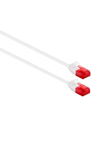 Ewent IM1041 cable de red Blanco 5 m Cat6 U UTP (UTP)