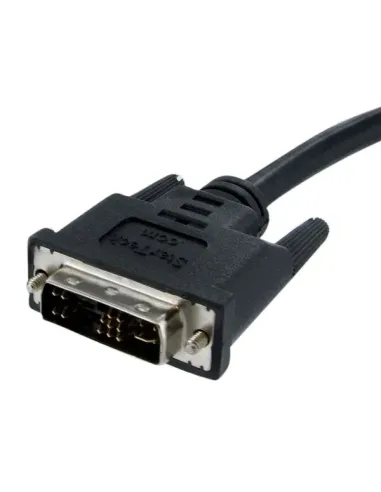 StarTech.com Cable de 2m de DVI-A a VGA Macho a Macho - Analógico Análogo Adaptador de Monitor Pantalla