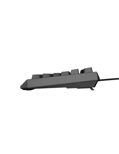 GENESIS Thor 230 TKL teclado Juego USB QWERTY Español Negro