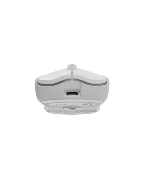 GENESIS Zircon 500 ratón Juego mano derecha RF Wireless + Bluetooth + USB Type-C Óptico 10000 DPI