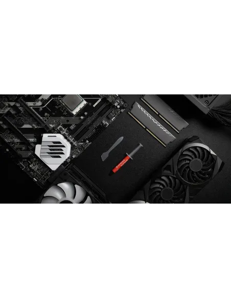 GENESIS Silicon 900