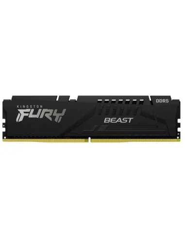 Kingston Technology FURY Beast