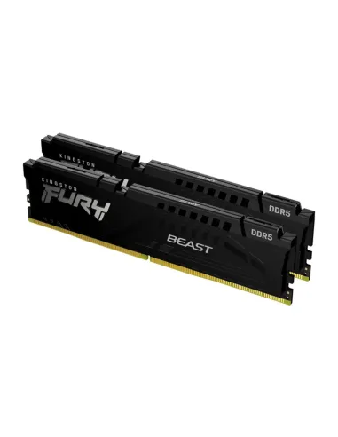 Kingston Technology FURY Beast