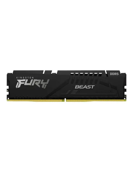 Kingston Technology FURY Beast