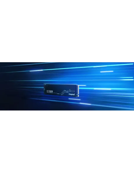 Kingston Technology 1024G KC3000 M.2 2280 NVMe SSD
