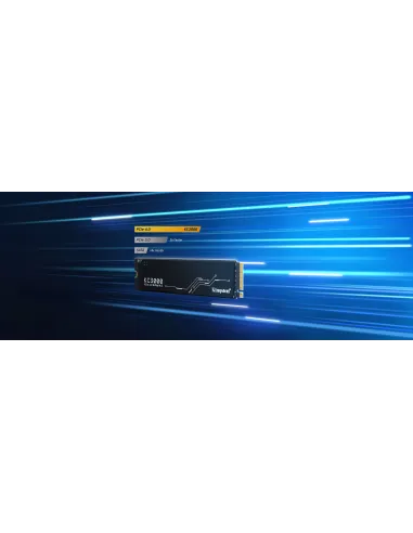 Kingston Technology 1024G KC3000 M.2 2280 NVMe SSD