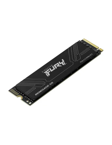Kingston Technology 2T FURY RENEGADE G5 M.2 2280 NVMe SSD