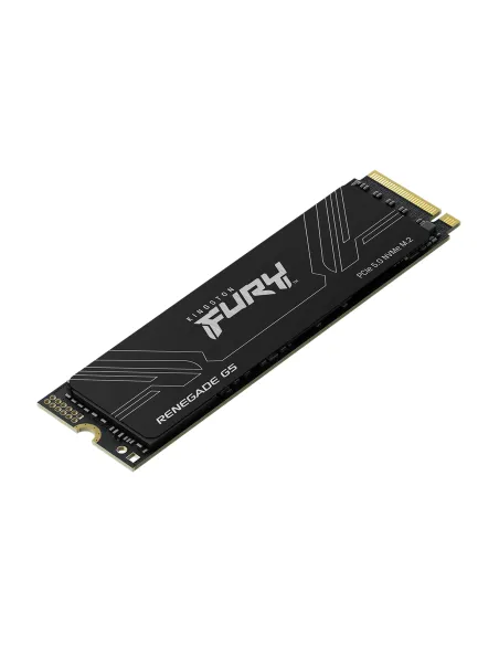 Kingston Technology 2T FURY RENEGADE G5 M.2 2280 NVMe SSD