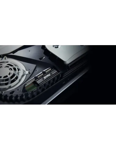 Kingston Technology 2000G RENEGADE PCIe 4.0 NVMe SSD W  Difusor térmico