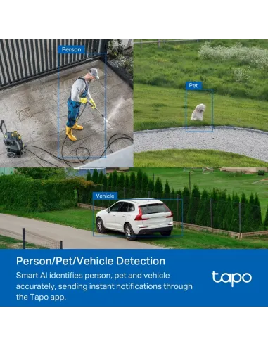 TP-Link Tapo TC43(EU) V2 Esférico Cámara de seguridad IP Interior y exterior 2880 x 1620 Pixeles Techo Pared Poste