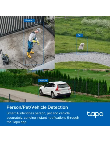 TP-Link Tapo TC43(EU) V2 Esférico Cámara de seguridad IP Interior y exterior 2880 x 1620 Pixeles Techo Pared Poste