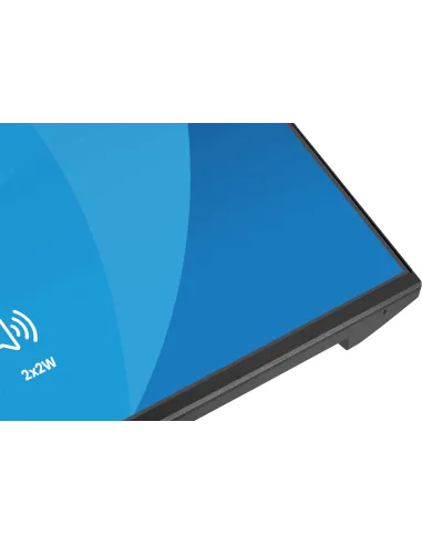 iiyama ProLite X2491HS-B1 pantalla para PC 60,5 cm (23.8") 1920 x 1080 Pixeles Full HD LCD Negro