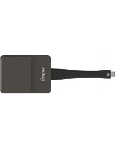 iiyama WP D002C adaptador Smart TV USB 4K Ultra HD Negro, Plata 2