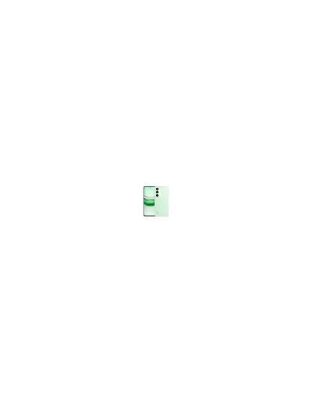 SMARTPHONE REALME 14X 5G 8GB 256GB NFC PERIDOT GREEN