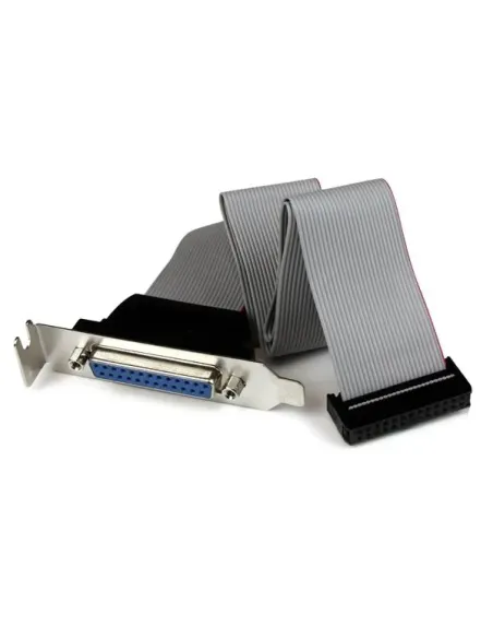 StarTech.com Adaptador de 40cm Header Cabezal Bracket Paralelo Perfil Bajo DB25 a IDC26 Pines Placa Base