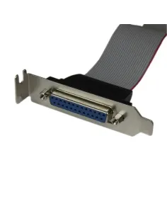 StarTech.com Adaptador de 40cm Header Cabezal Bracket Paralelo Perfil Bajo DB25 a IDC26 Pines Placa Base 2