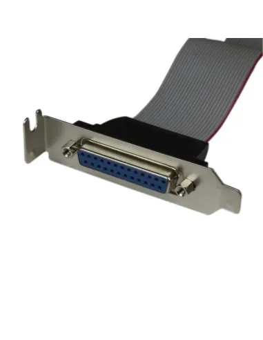 StarTech.com Adaptador de 40cm Header Cabezal Bracket Paralelo Perfil Bajo DB25 a IDC26 Pines Placa Base