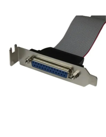 StarTech.com Adaptador de 40cm Header Cabezal Bracket Paralelo Perfil Bajo DB25 a IDC26 Pines Placa Base