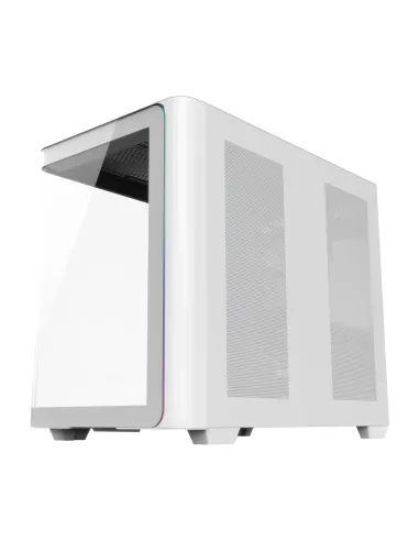 FSP M580-WP Plus Carcasa Midi Tower mITX, mATX Blanco ARGB