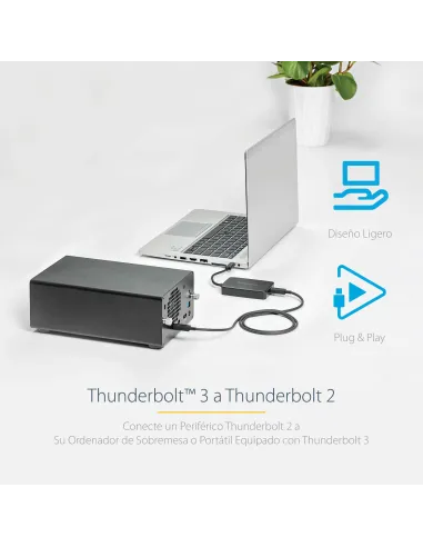 StarTech.com Adaptador Thunderbolt 3 a Thunderbolt 2 de Ordenador Portátil TB3 a Dispositivos TB2 o TB1 - No Reversible -